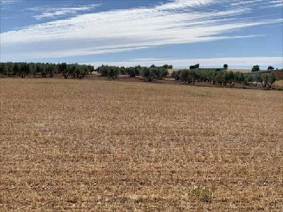 Suelo rstico en Villamayor de Santiago