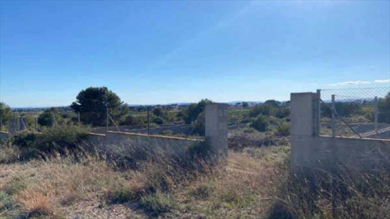 Imagen 5 de La Pobla de Vallbona 