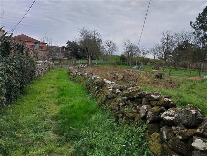 Imagen 2 de Parada de Amoeiro