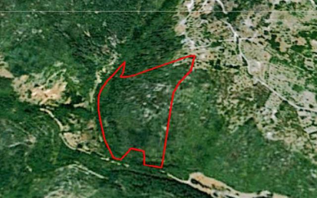 PLANO