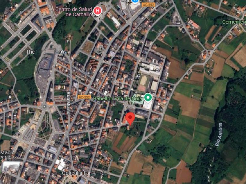 Imagen 5 de Carballo Población