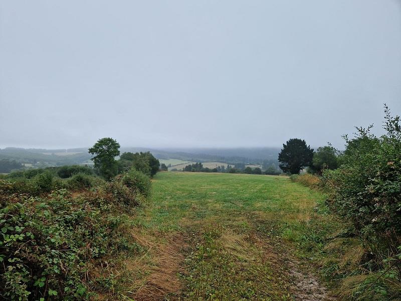 Suelo rústico en Nodar - Friol (Lugo)