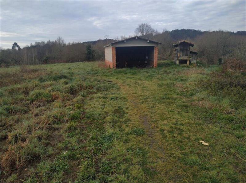 Imagen 5 de Toubes