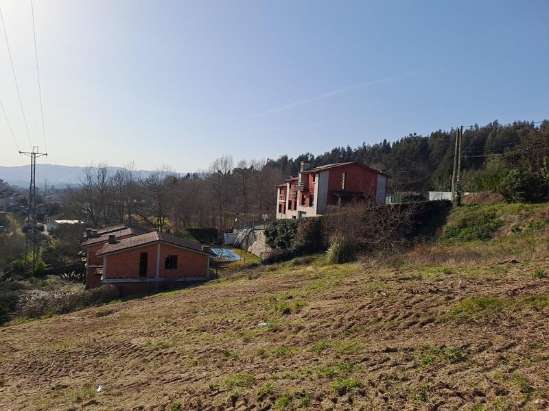 Imagen 3 de Oliveira