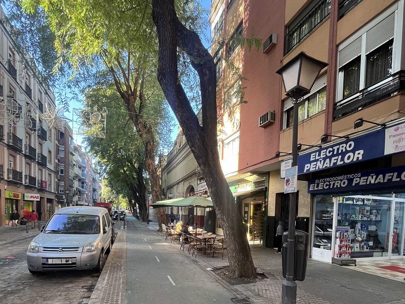 Imagen 1 de Ronda Triana-Patrocinio-Turruñuelo