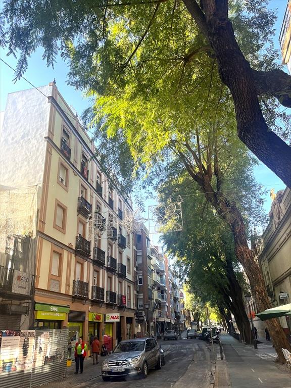 Imagen 15 de Ronda Triana-Patrocinio-Turruñuelo