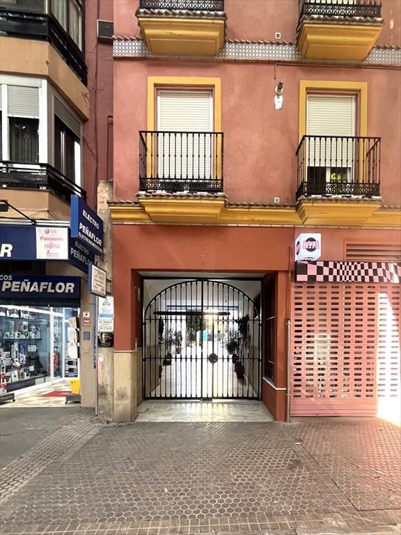 Imagen 2 de Ronda Triana-Patrocinio-Turruñuelo